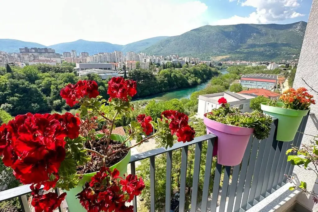 Apartment River 503