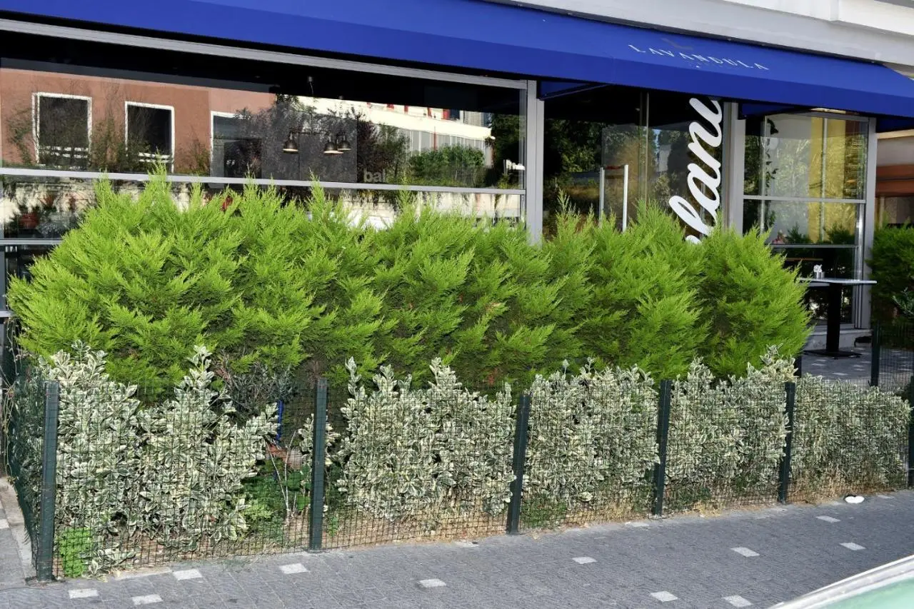 Levent Lavandula Hotel