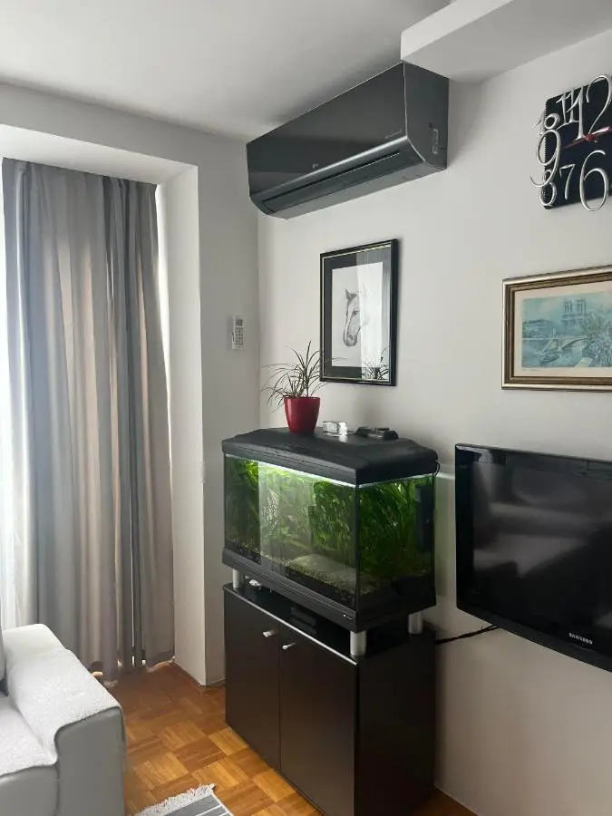 SASE Apartment