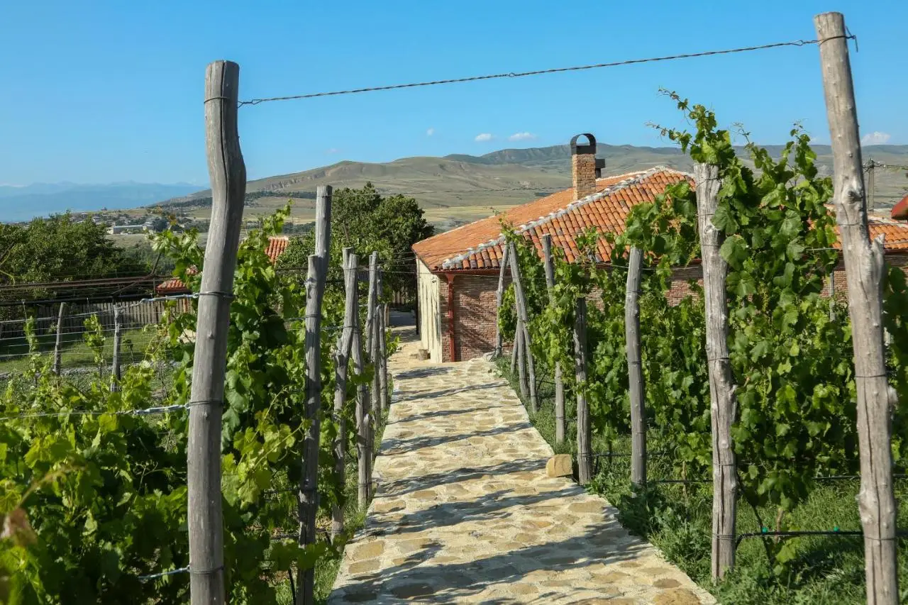 Peradze Wine Cellar Vineyard Cottages