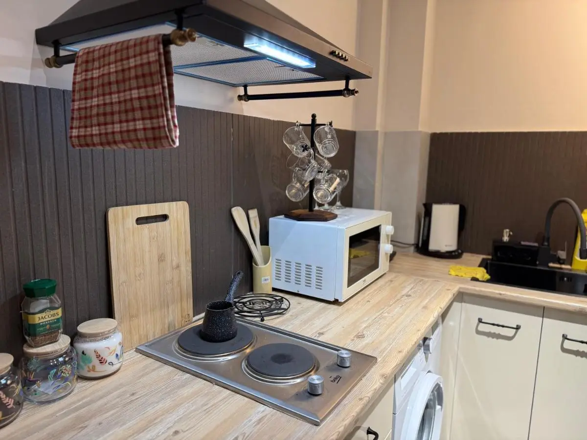 Firuzi Apartment TBS