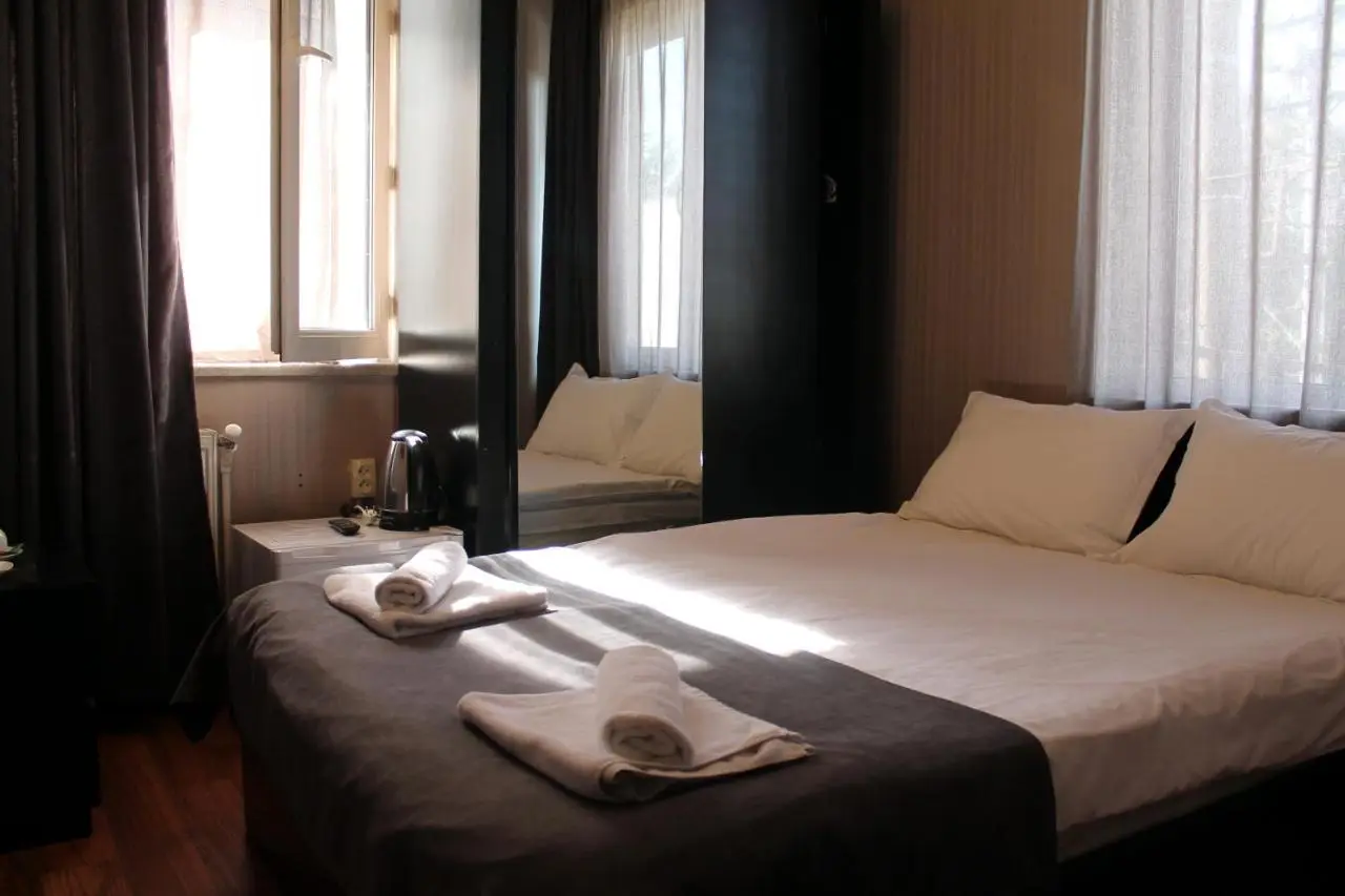 Hotel New Metekhi