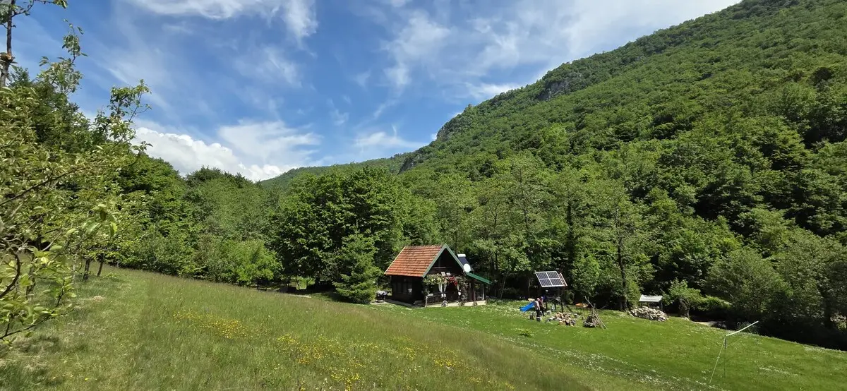 Nina's Cabin