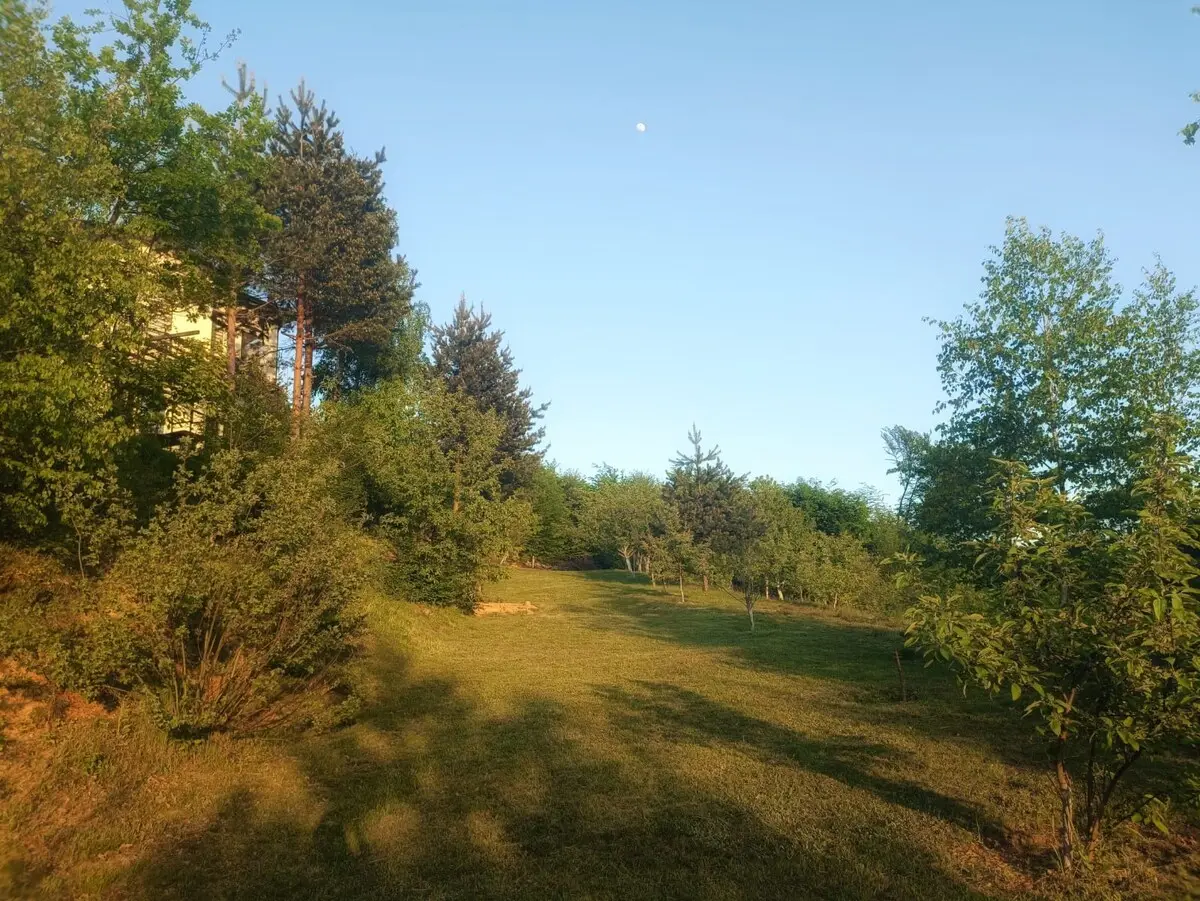 Villa Bloom - Villa in nature with a large orchard