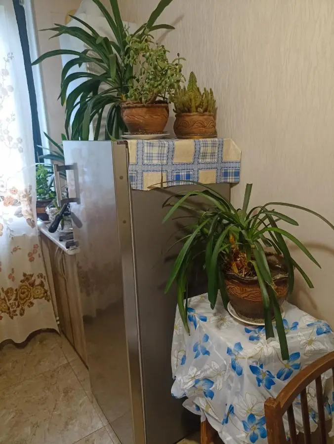 Apartment Erekle