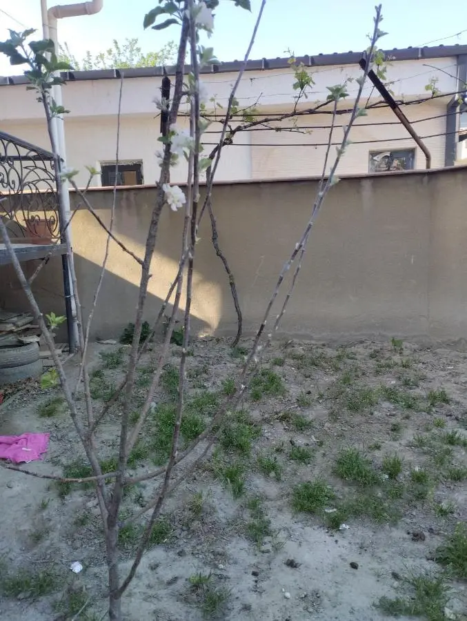 Eka,s hotel in ortachala