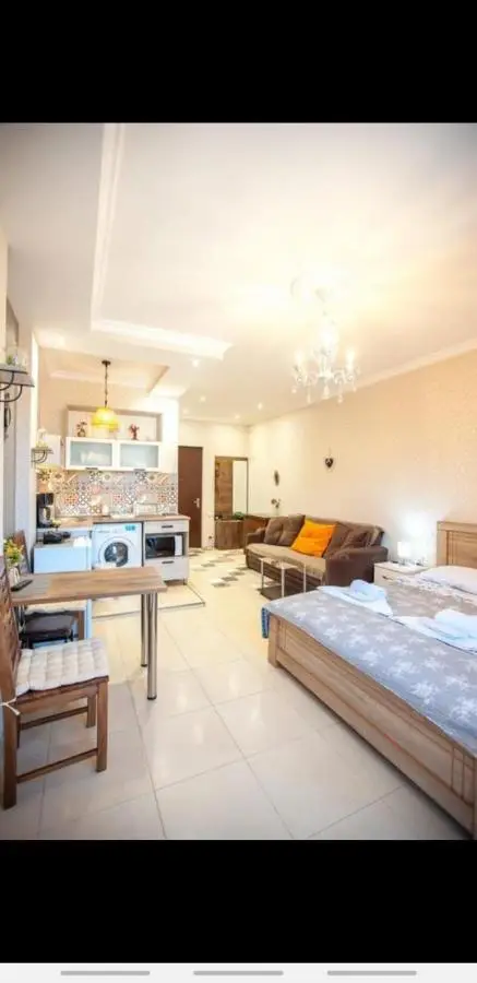 Apartment on L.Meskhishvili Turn