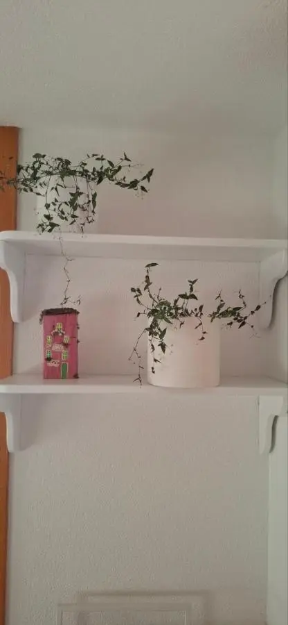 Bio Garden Cottage Sarajevo - Kremeš, Vogošća Seosko domaćinstvo Pogledine