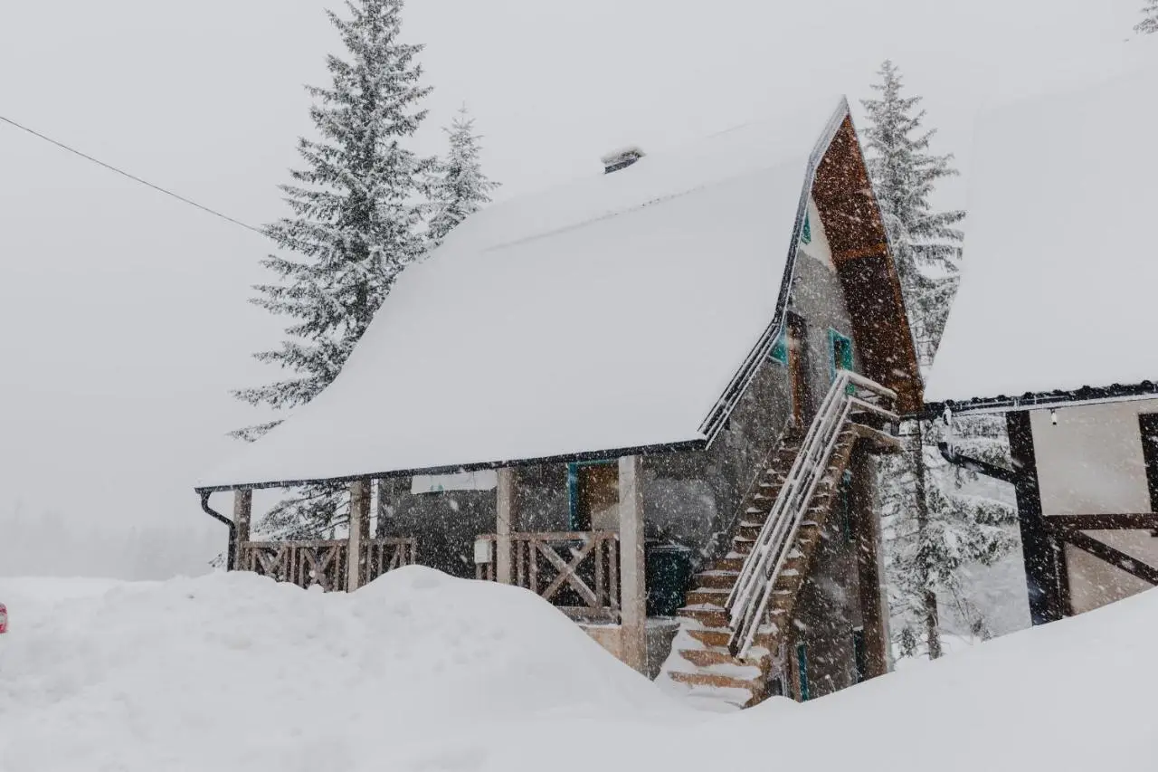 Apartments Paradiso