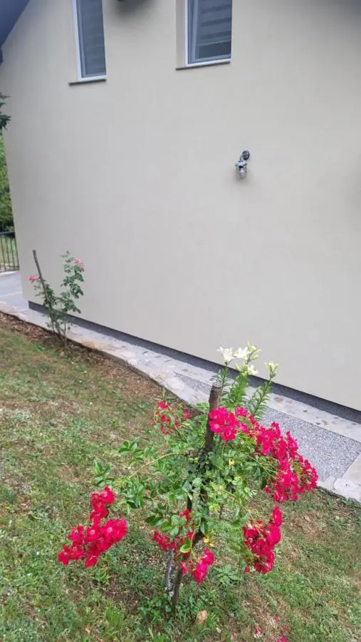 Villa Igmanski san