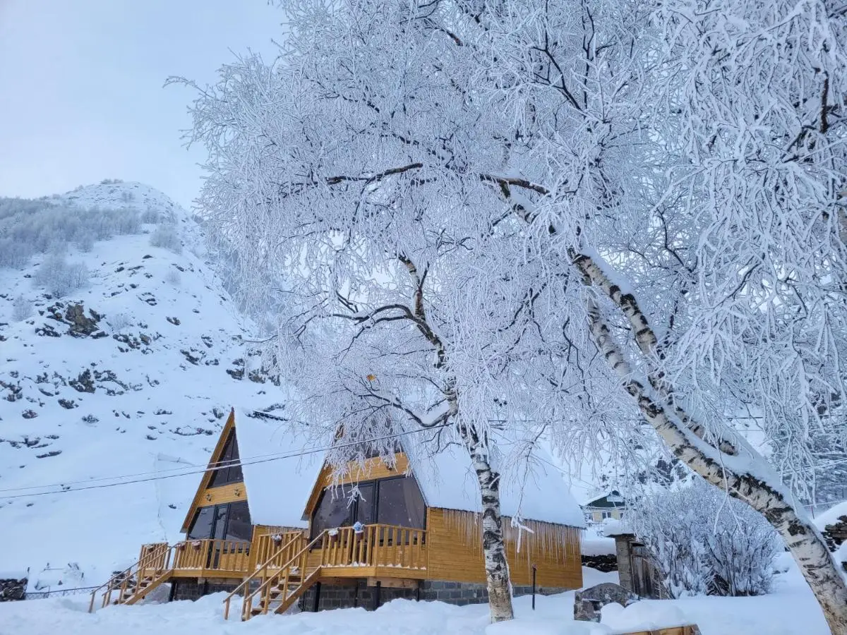 Pine Chalet Kazbegi
