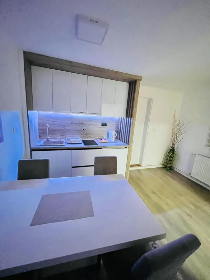 Apartment Irma free parking old town near Bascarsija