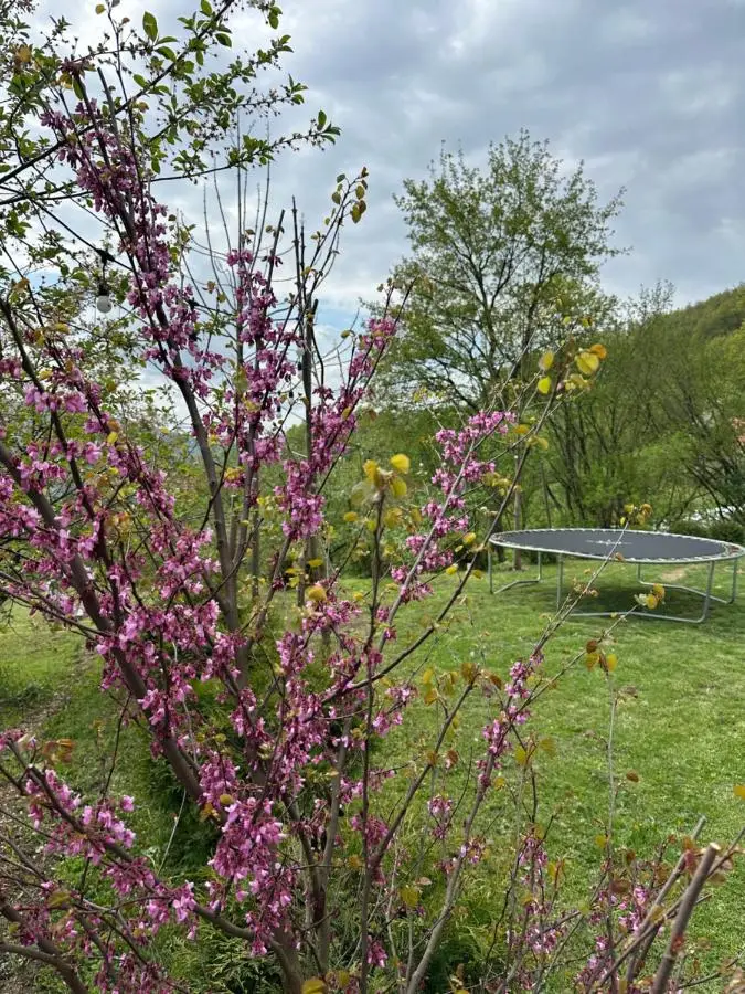 Villa Lux Nature