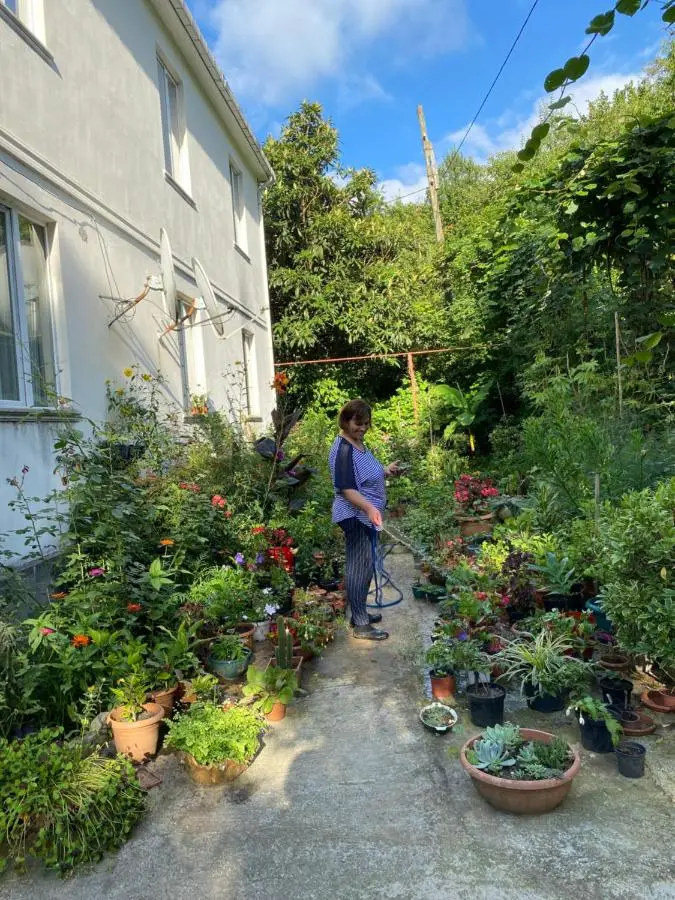 Venera's Guest House