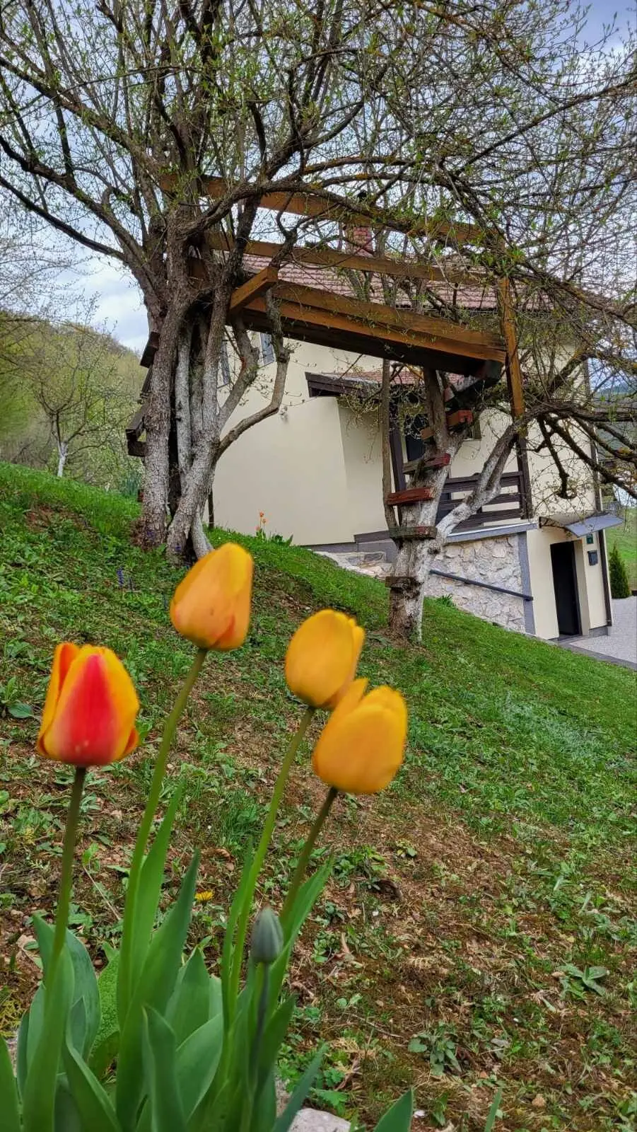 Villa Igmanski san