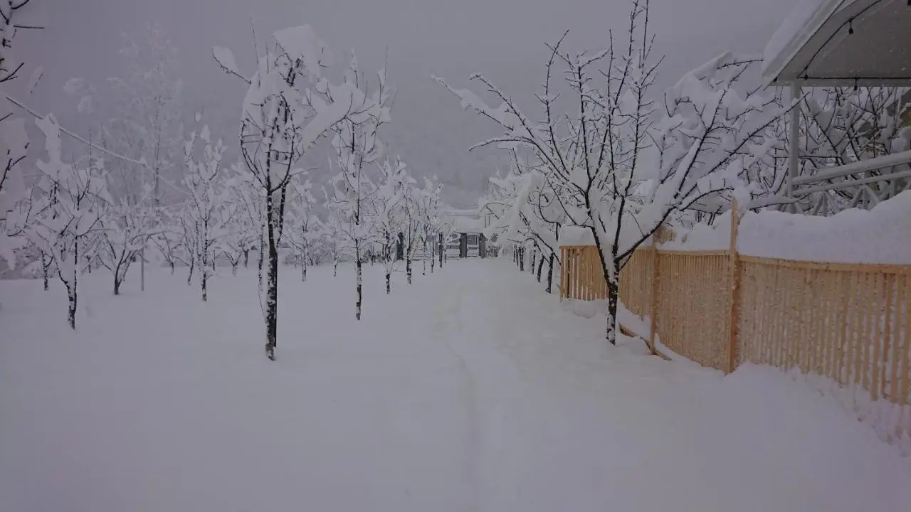 Our Garden