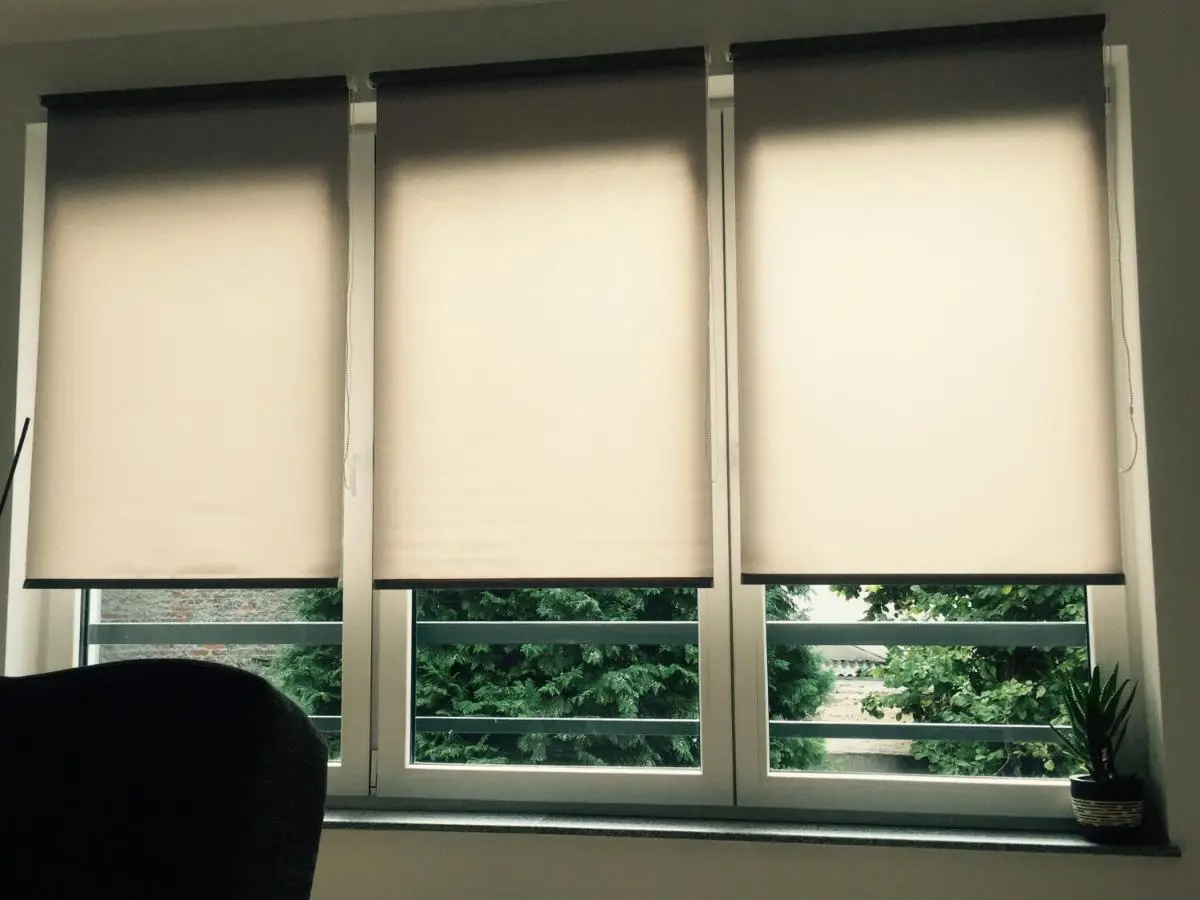 Apartment Adi