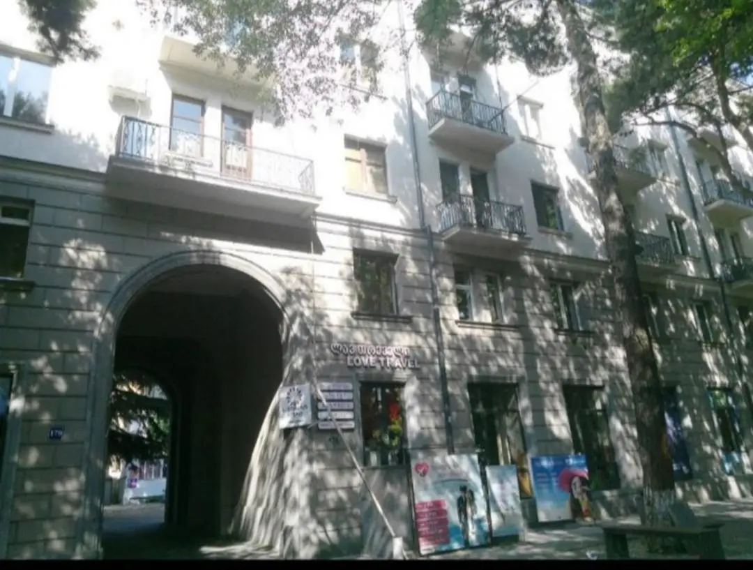 Agmashenebeli Lilu's Apartment 2