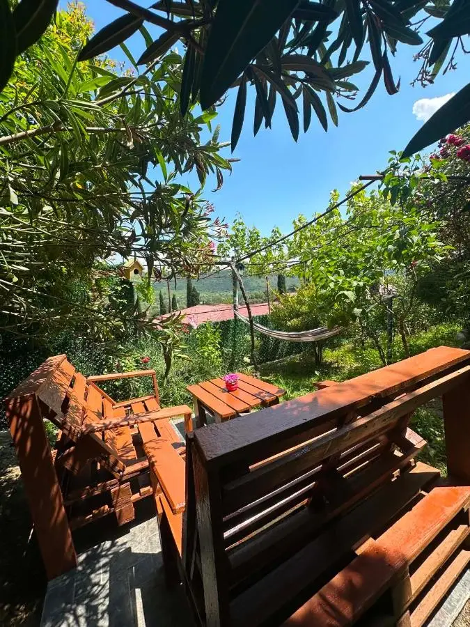 garden and panorama