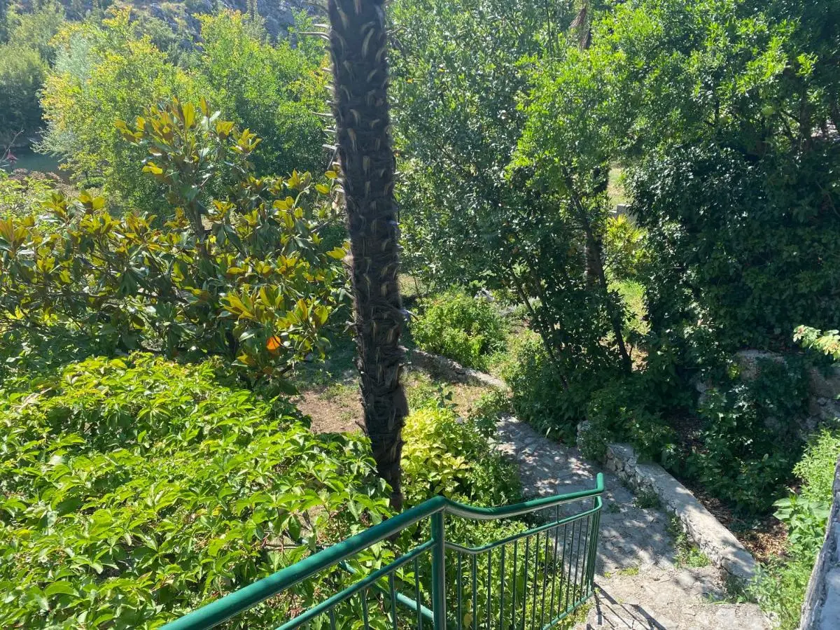 Villa San