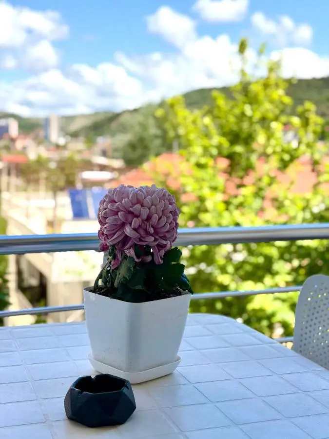 TreA Accomodations - Suite Lungomare