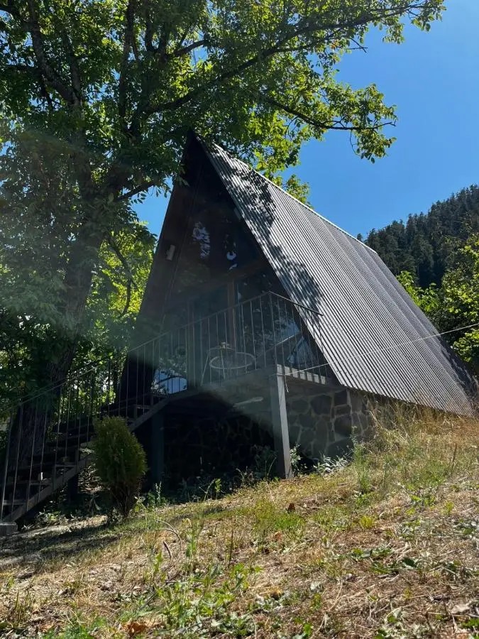 Wonderwood Borjomi Cottage