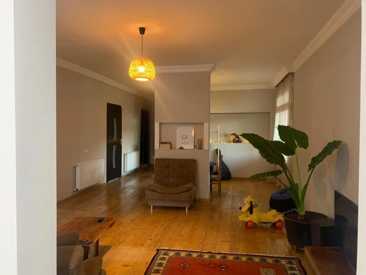 Panorama ananuri guest house