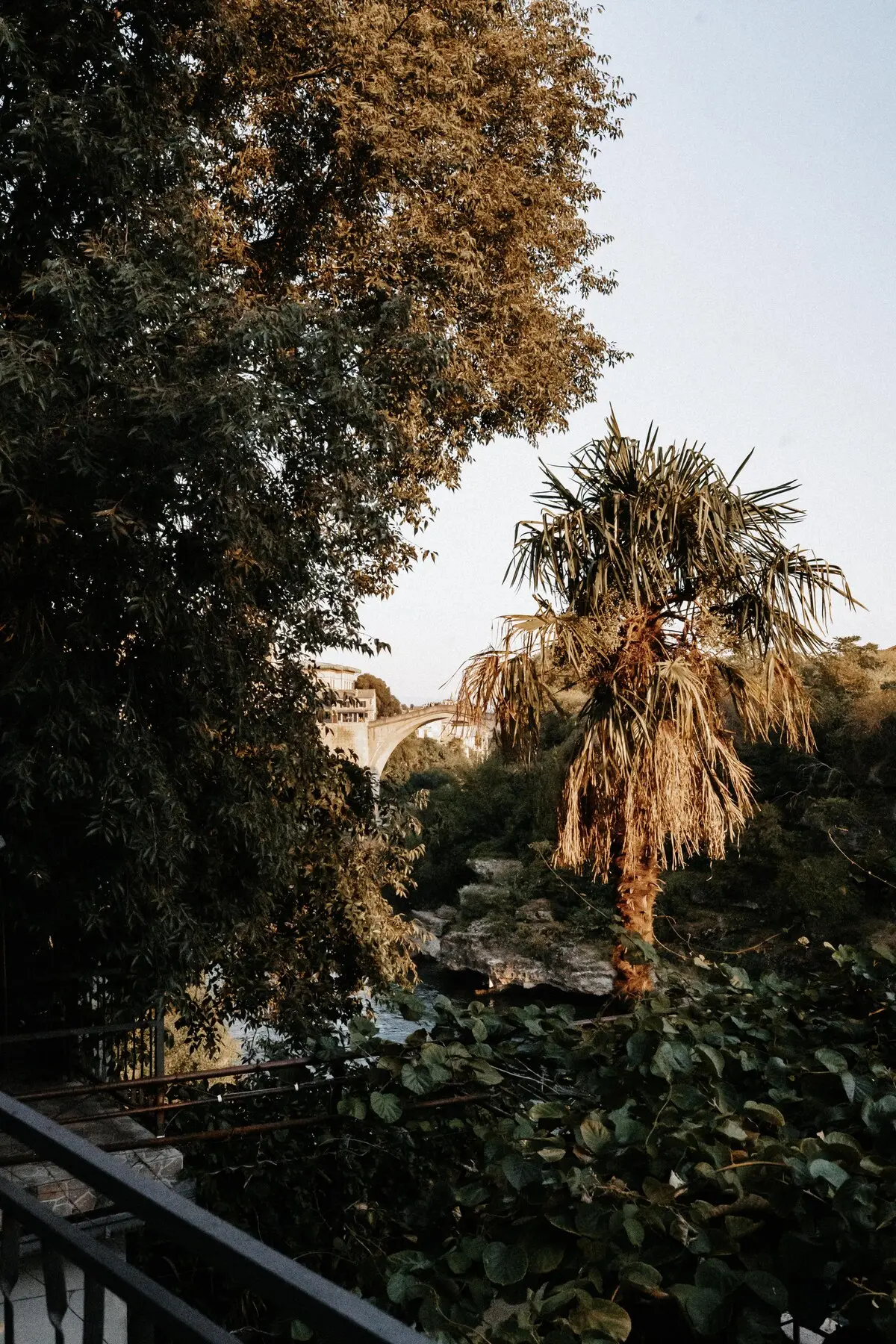 Old Town Oasis 2