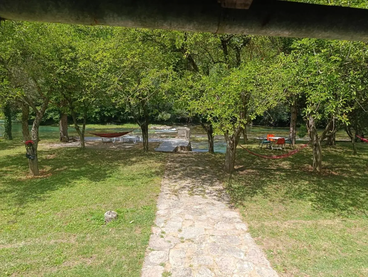 River Nest