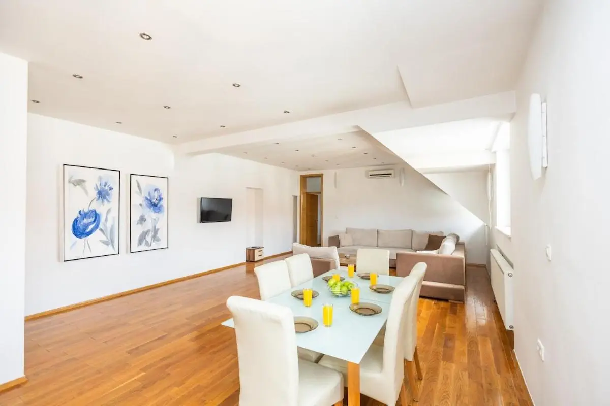 Spacious Apartment in Downtown