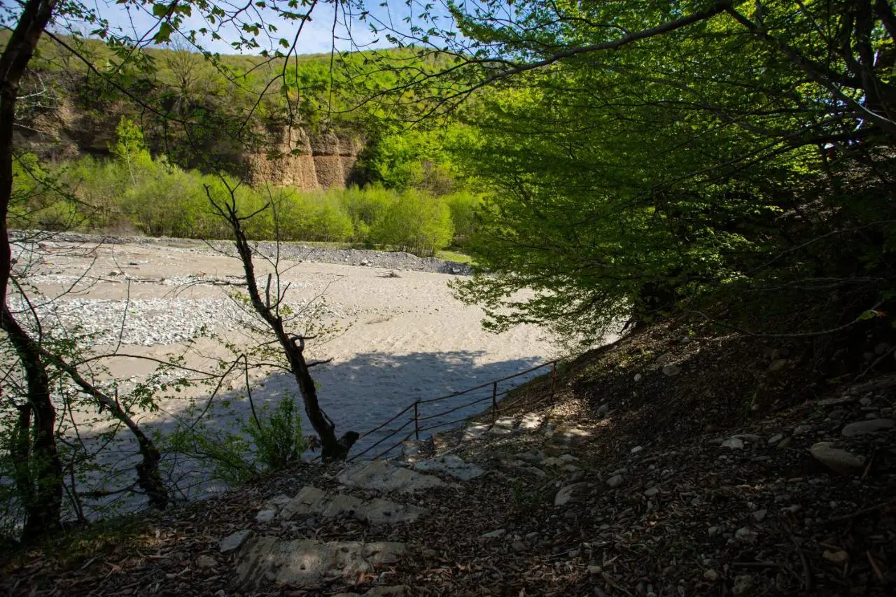 Mirvari Aframe Riverside