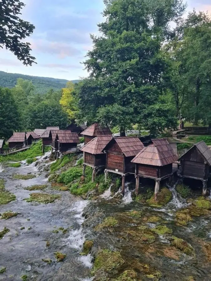Vikendica Žute dunje Jajce