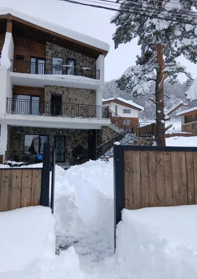 Cottage V1 Bakuriani