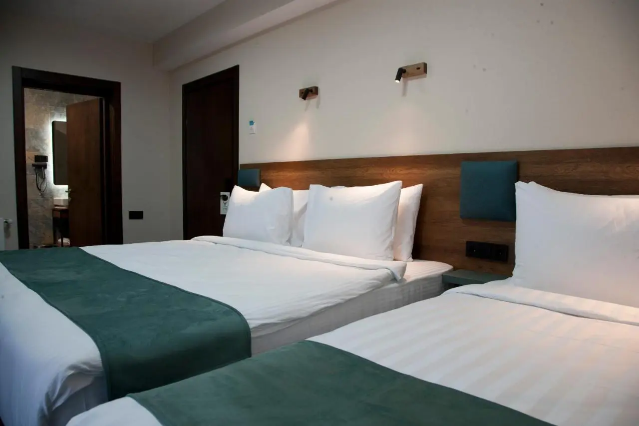 Borjomind Hotel Borjomi
