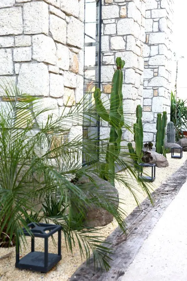 Dmira Alacati
