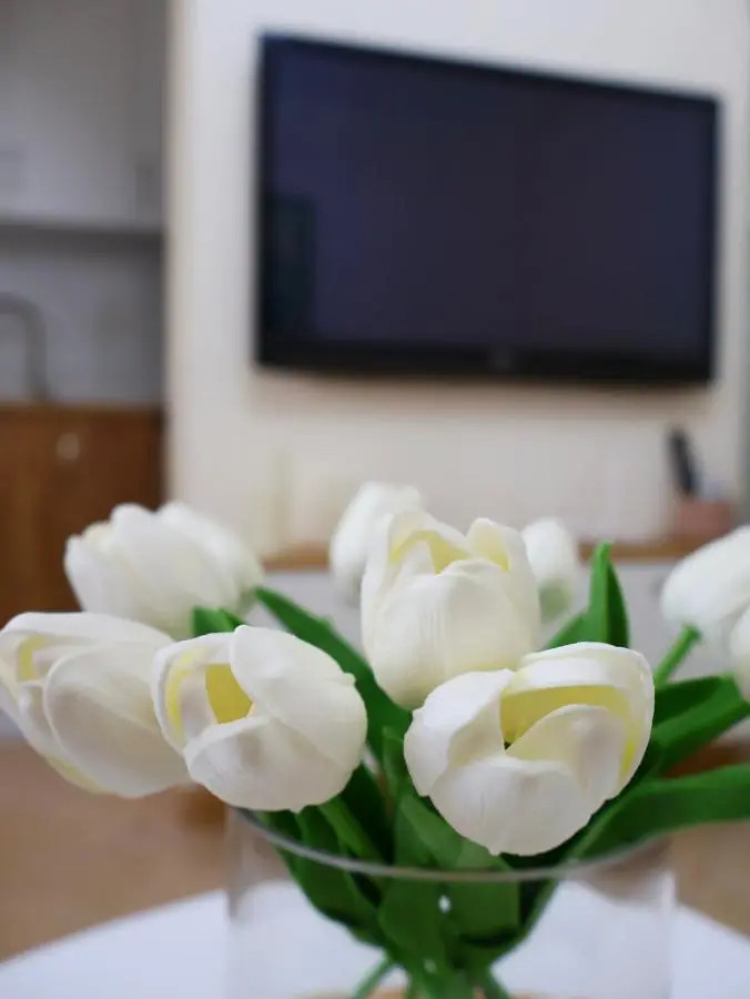 Fiora Apartment