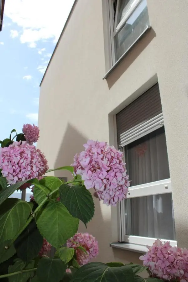 Apartment Merry Harmony Heights - Balcony & Free Garage & Parking