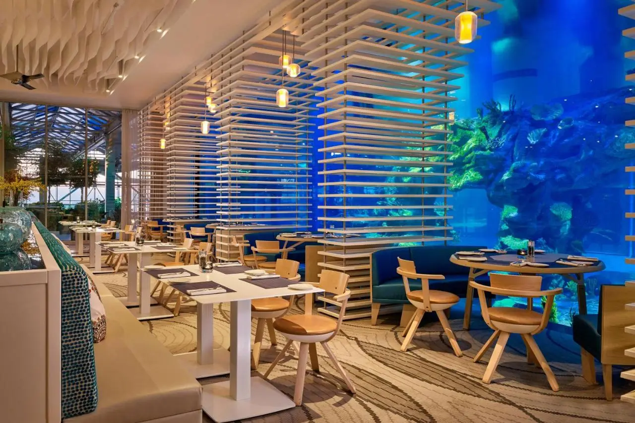 Paragraph Resort & Spa Shekvetili, Autograph Collection