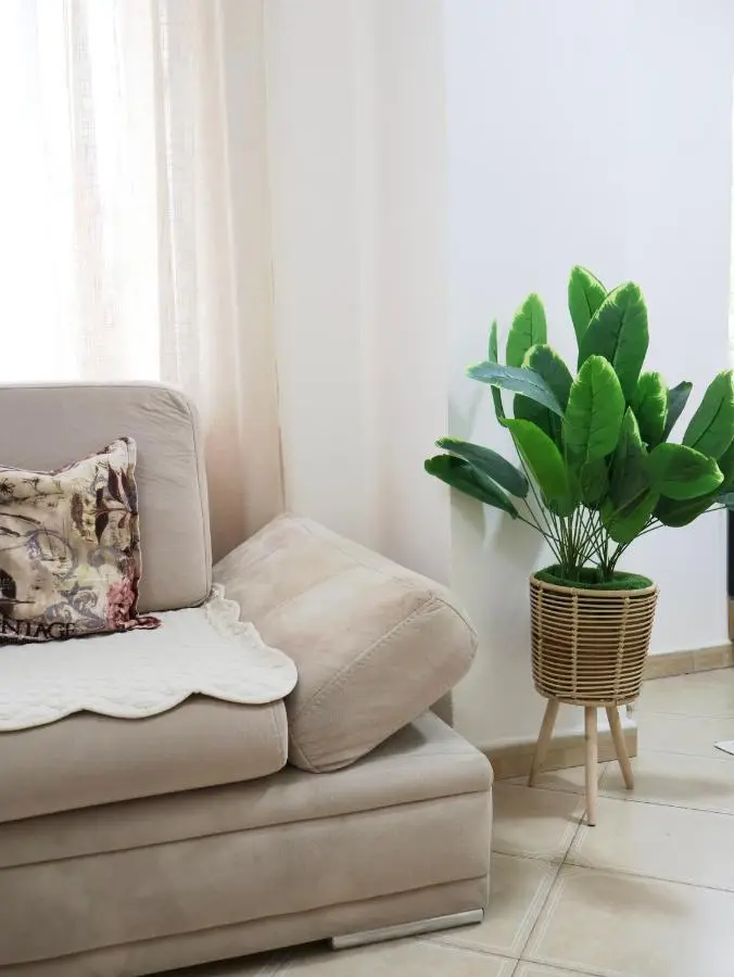 Fiora Apartment
