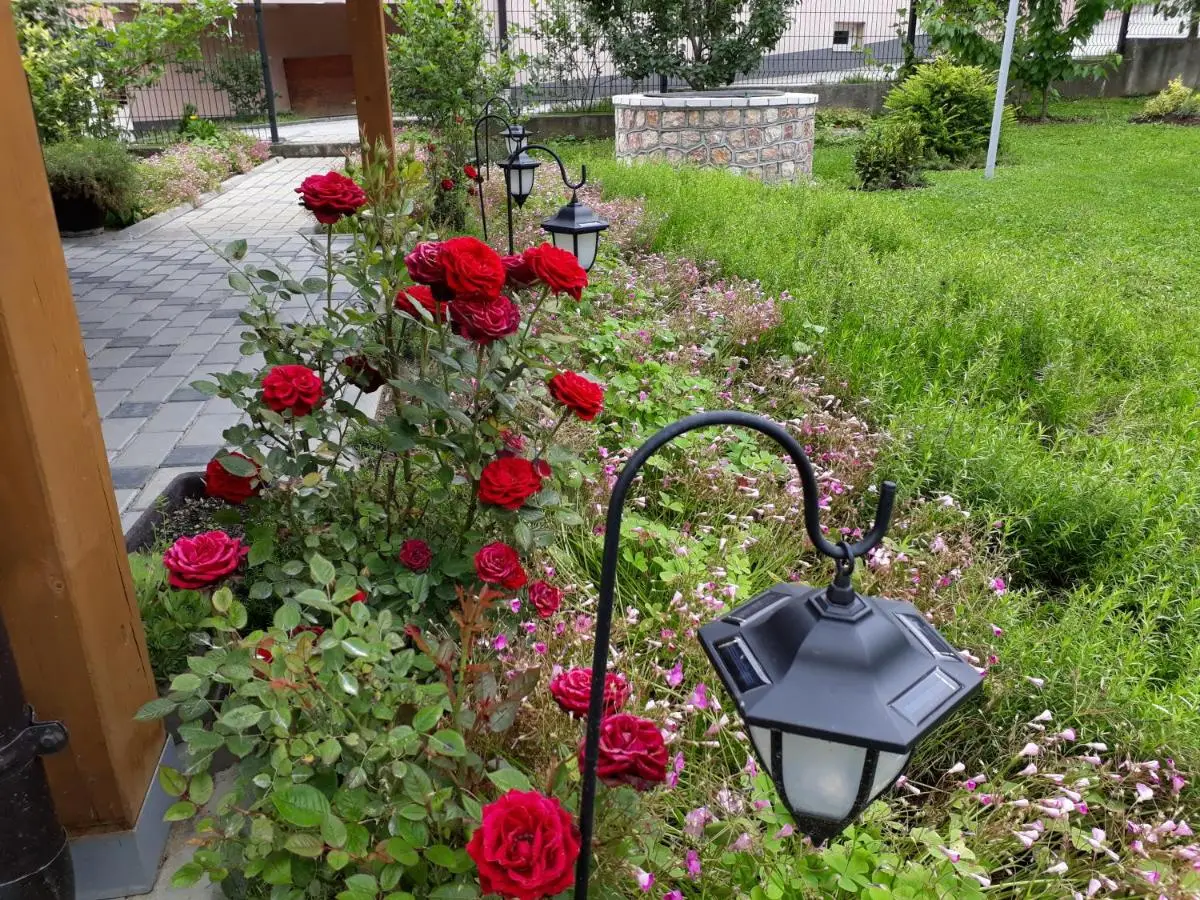 Private Home Rifat