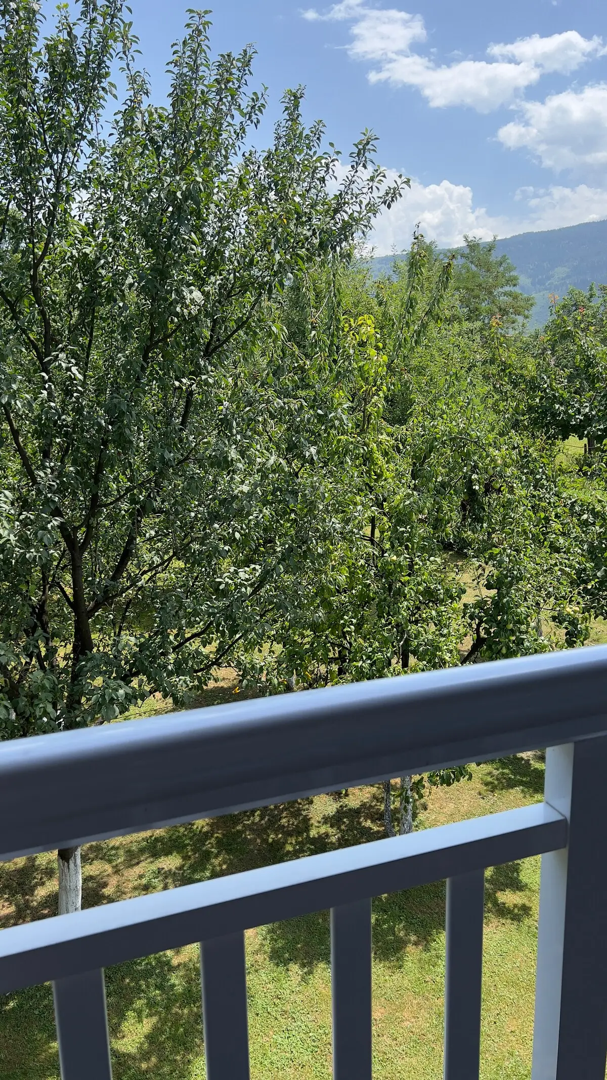10 minutes from Sarajevo Airport | Free Parking*