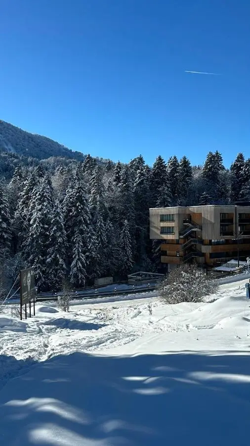 Forest View Apartment near Ski Lift