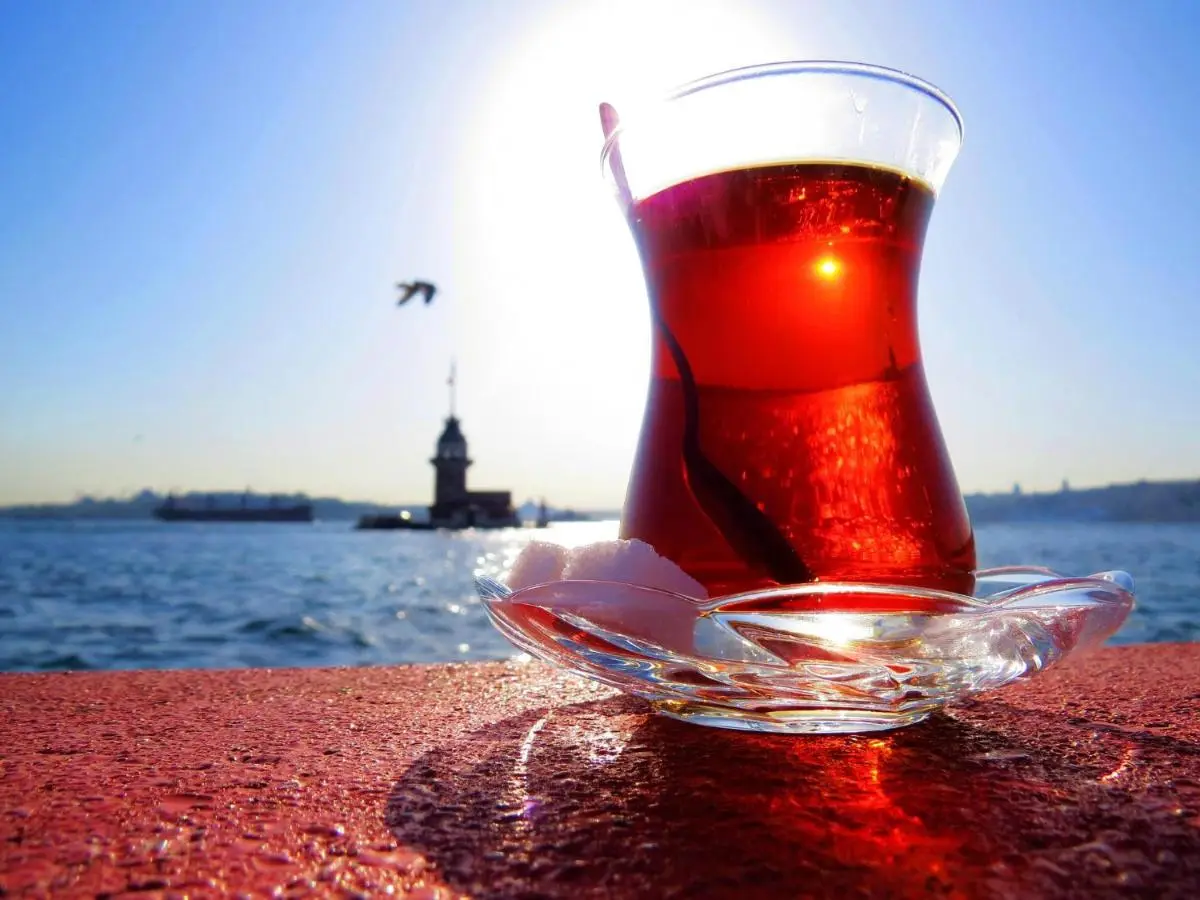 Erenler HoTeL & HosTeL