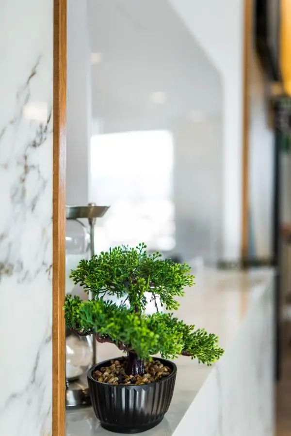 Hotel Bonsai