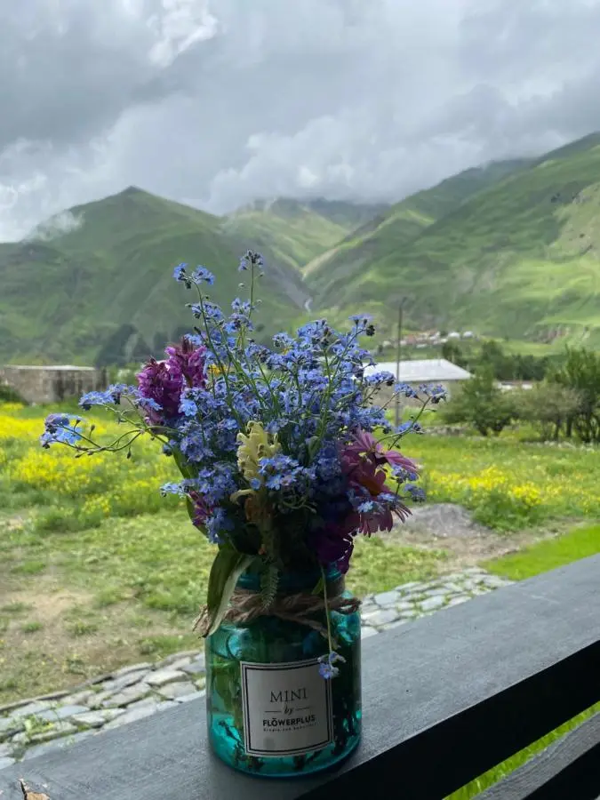 Cottage kazbegi sioni