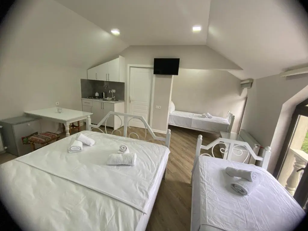 Viva hotel Gabala with outdoor pool ,Sauna and Waterfall