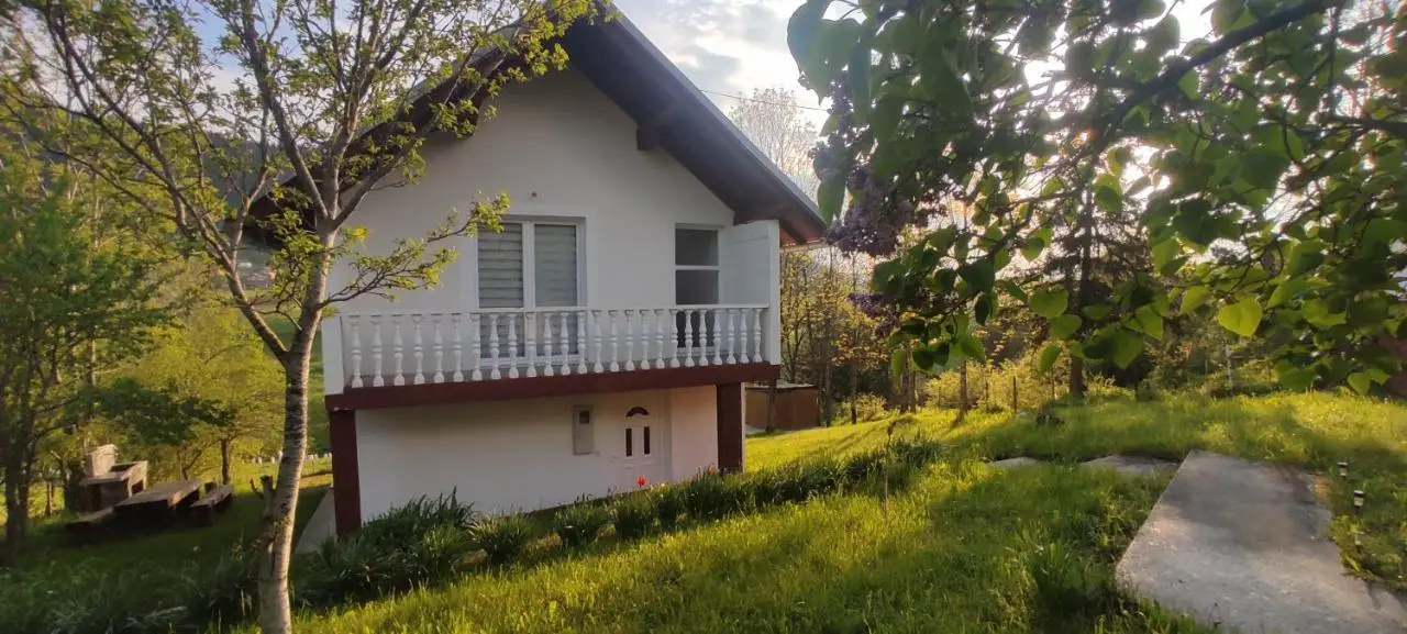 Vlasic holiday home