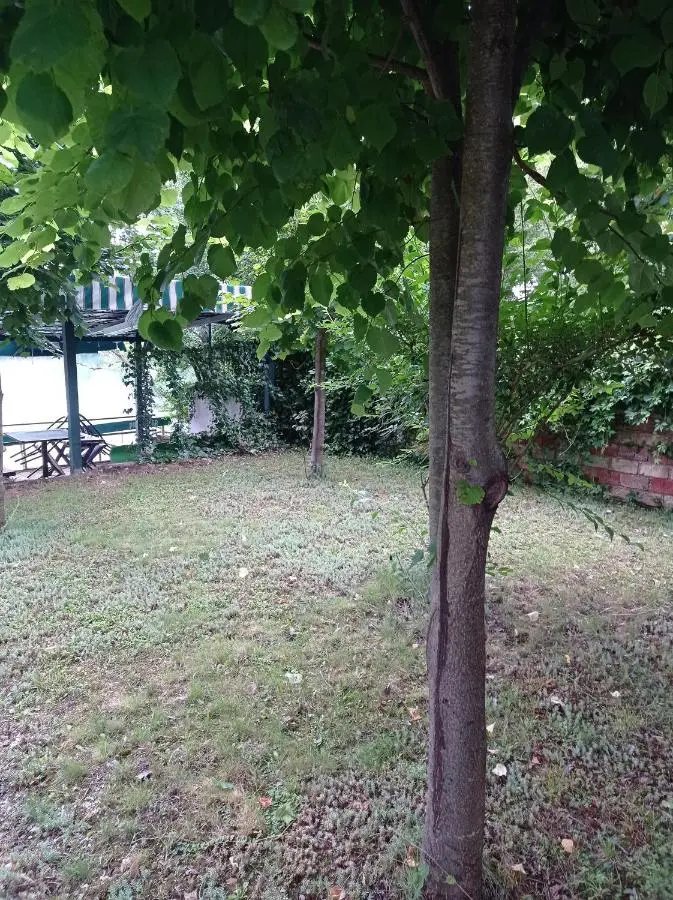 Kuca za odmor Zlaja