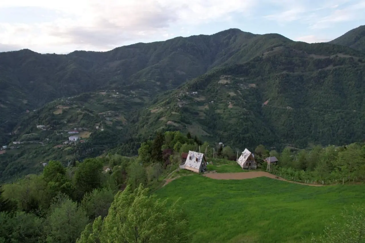 GREEN GUNDAURI