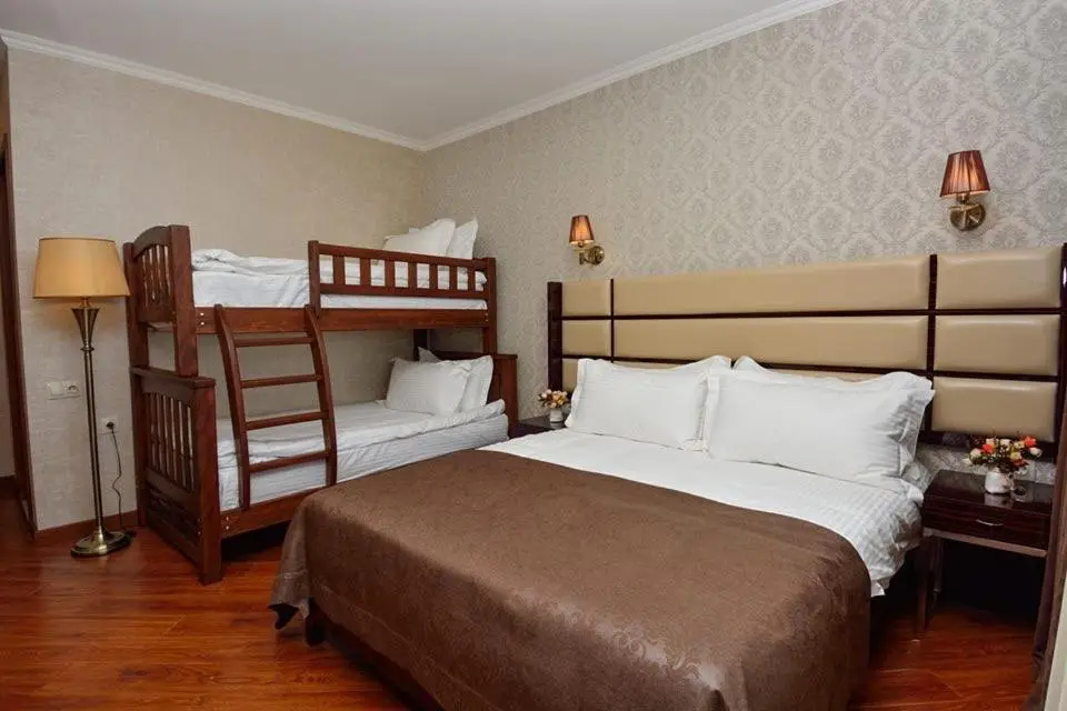 Hotel King David Bakuriani Mountain View
